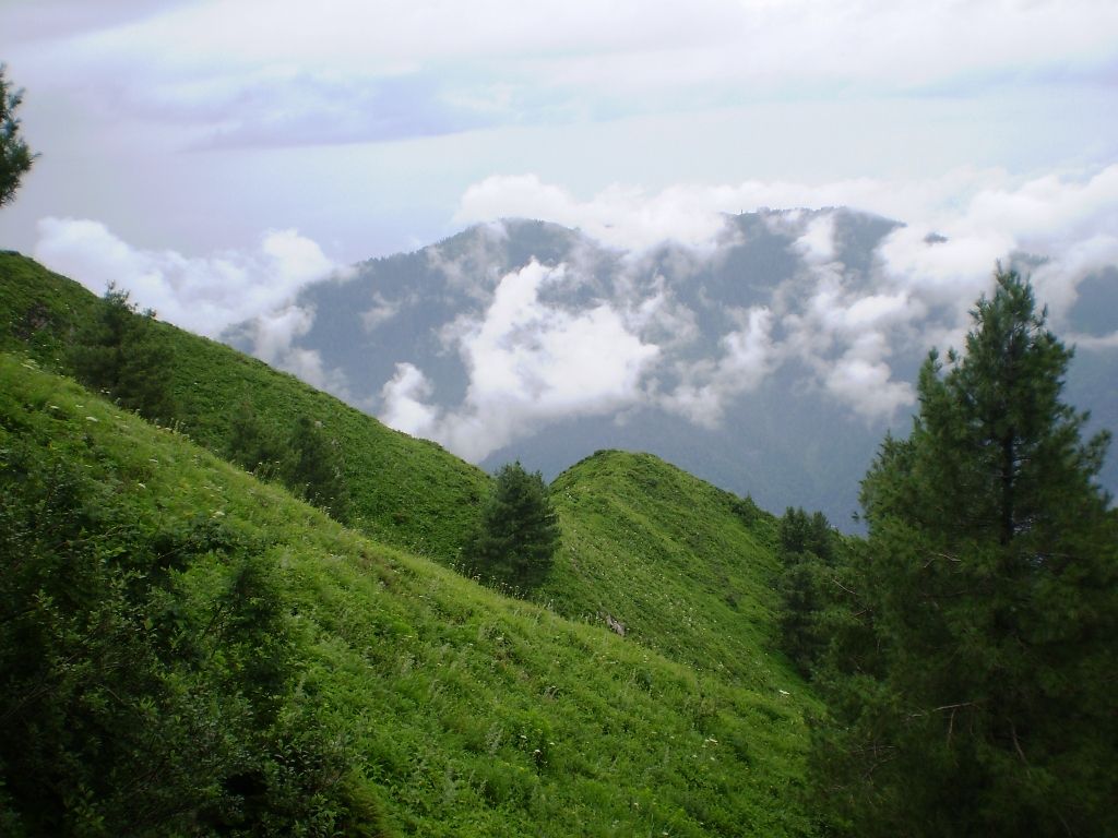 Galyat-Abbotabad-Pakimag.jpg