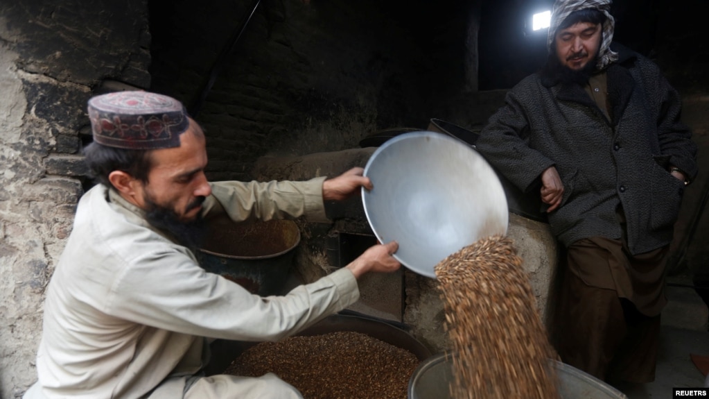 FILE - An Afghan man prepares pine nuts for sell at his shop in Kabul, Afghanistan.