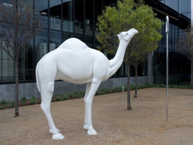 689550-Camel_John_Baldessari_MJN_-1396277742-710-640x480.jpg