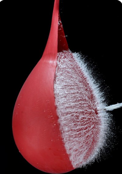 7-best-fast-shutter-speed-photography-examples-water-balloon-explosion-2.jpg