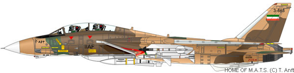 f14-squadron-iiaf-01.jpg