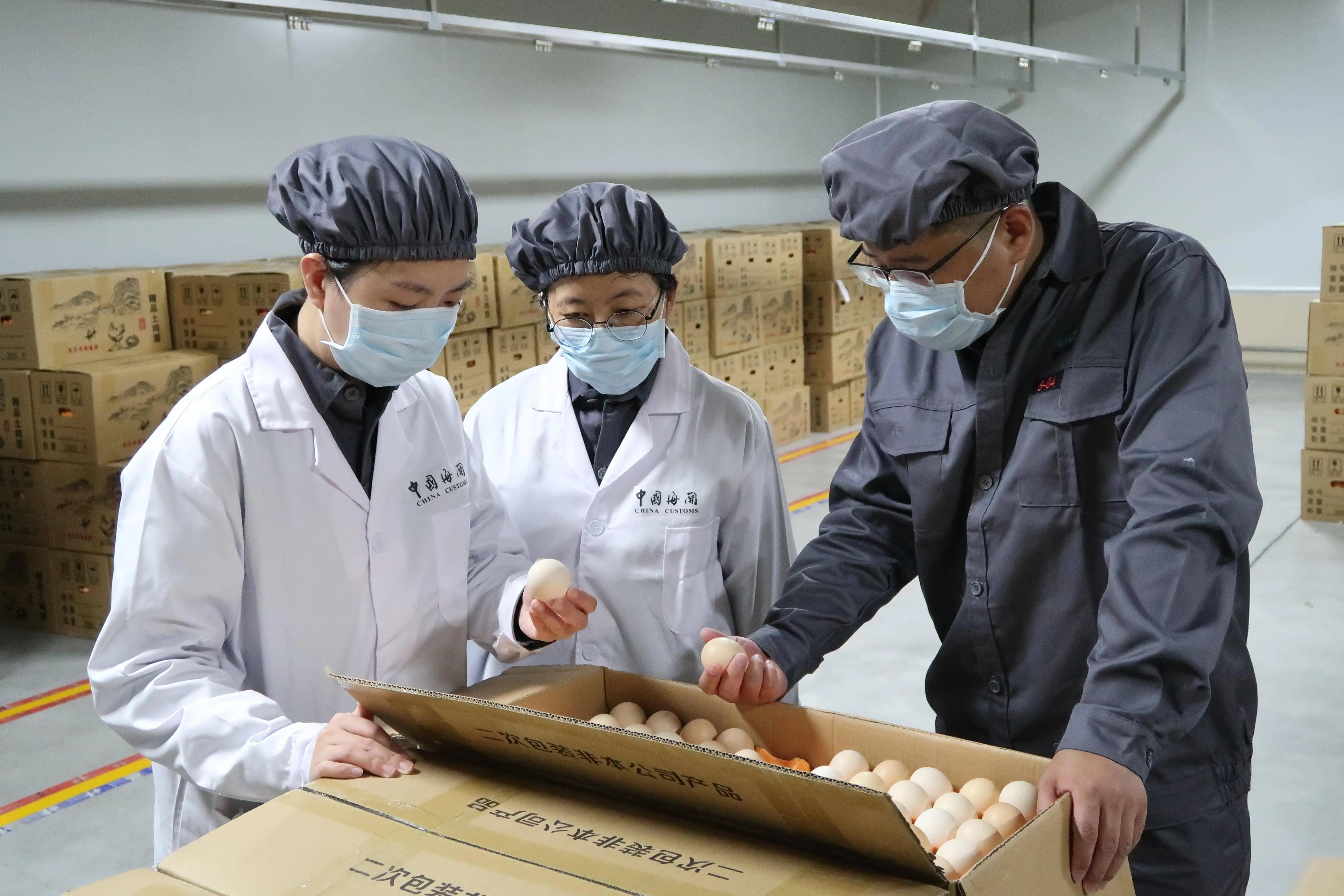 The first batch of Chinese homegrown white broiler eggs exported to Pakistan