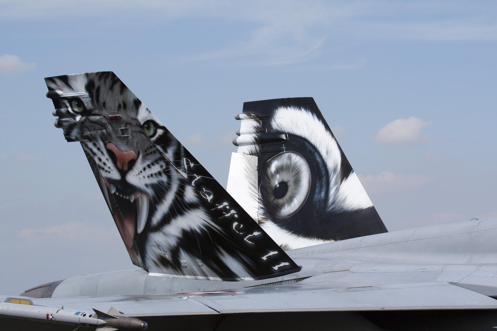 f_18_tiger_meet_livery_by_rikkubeauty-d3g8agw.jpg