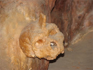 petralona-cave-skull-3.jpg