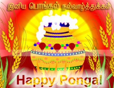 Pongal-Wishes2.jpg