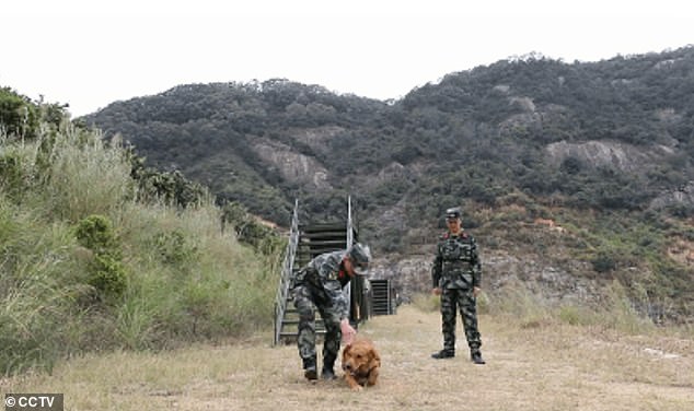 Mr Jia, who served as a military dog trainer at the Chinese army, and his four-legged partner shared a strong bond and became best after working side by side for the past two years