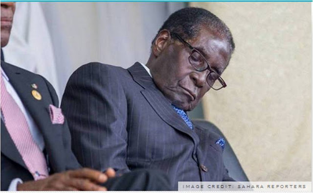 Mugabe-Sleeping.jpg