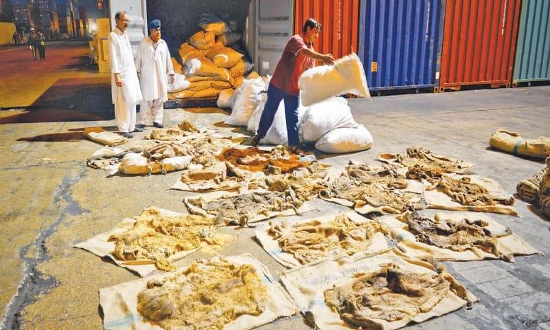 pakistan-exported-200-000-donkey-hides-in-last-three-years-khurram-dastgir-1452261450-3989.jpg