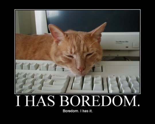 bored-cat.jpg