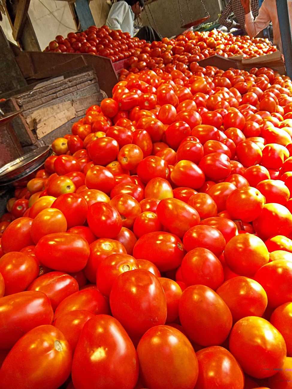 tomatoesinmkt.jpg