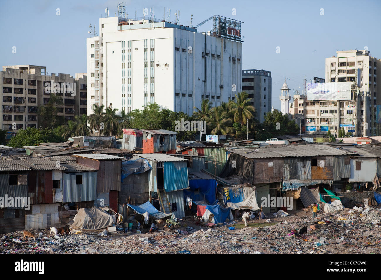 the-slums-of-mumbai-india-CX7GW0.jpg