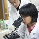 research_in_China_140_Flickr_Gates_foundation.jpg