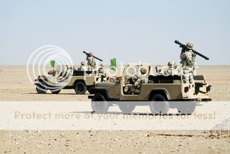 Egyptian_rangers_in_Jeeps_with_MANP.jpg