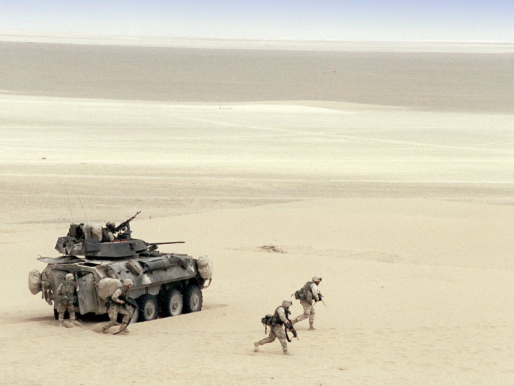 LAND_LAV-25_Desert_Squad_lg.jpg