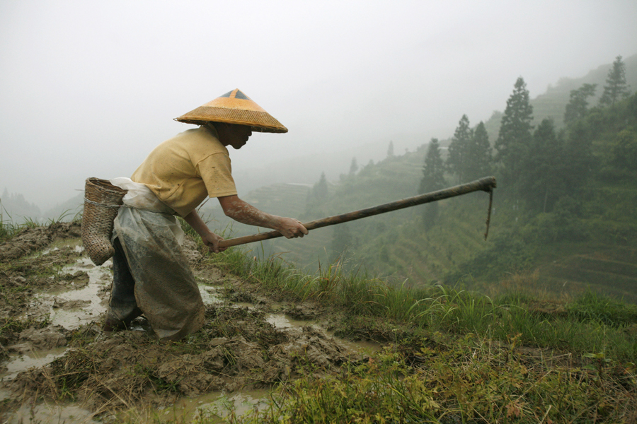 a_farmer_from_the_zhuang_ethnic_minority_works_at_his_rice_terrace_near_pingan_village_in_longsheng_in_southwest_chinas_guangxi_zhuang.jpg