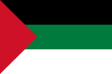 125px-Flag_of_Hejaz_1917.svg.png