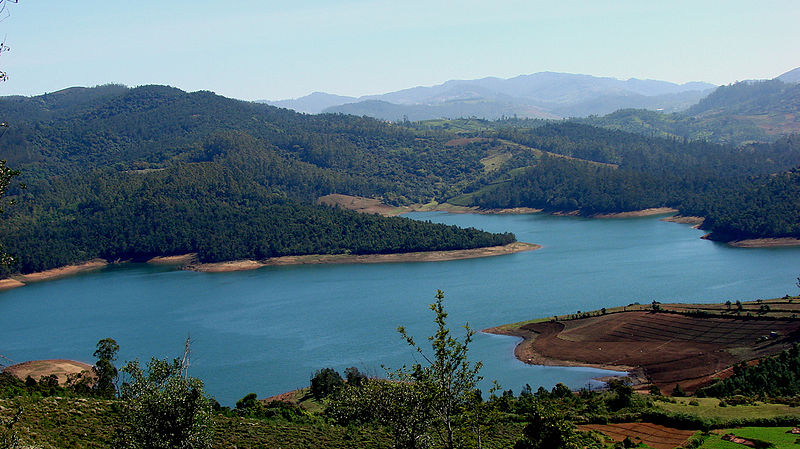 800px-Emerald_Lake_Nilgiris.jpg