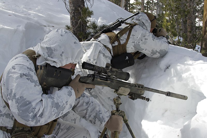 800px-Scout_sniper_snow_MARPAT.jpg