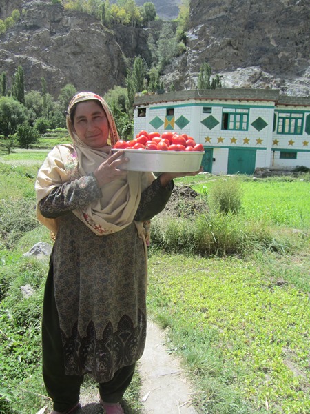 khanum-showing-off-new-tomatoes-grown-in-siksa-this-summer-1537171436.jpg