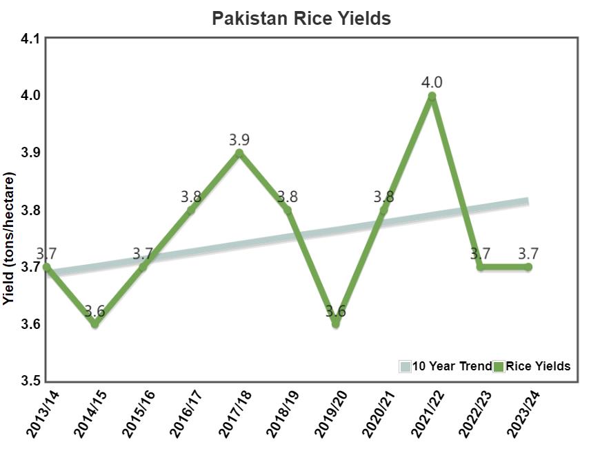 Pakistan’s rice exports set to reach a record high in FY 23-24 on good crop output