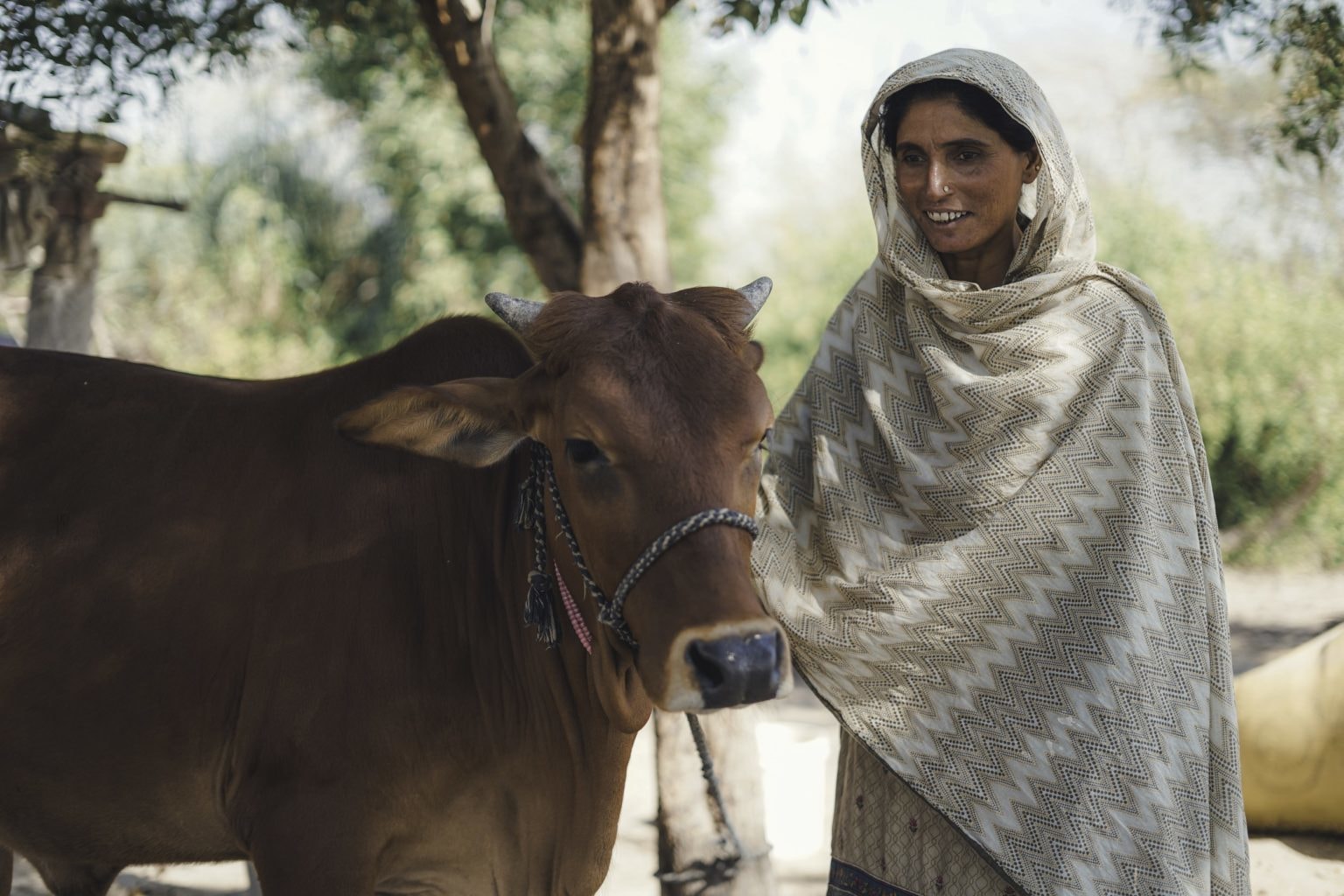 Rizwana Solangi, a farmer, in her village Qasim Solangi, district Hyderabad. — Photo by Manoj Genani