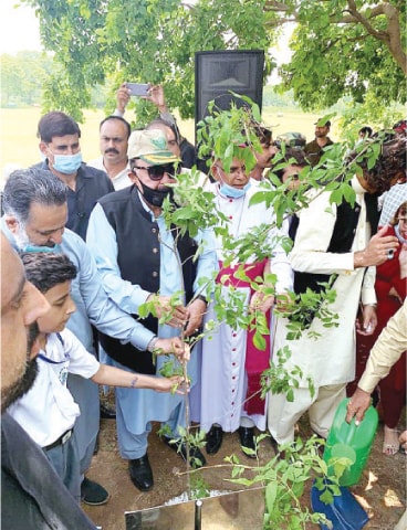 Interior Minister Sheikh Rashid Ahmed launches the tree plantation drive in Rawalpindi cantonment by planting a sapling in Saint Mary’s High School on Saturday. — APP