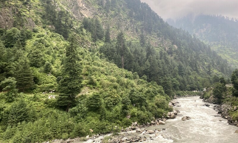  The lush green pine trees of Naran as the Kunhar river cascades its way down from the Lulusar Lake. 