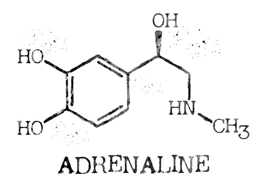 adrenaline-adrenalin-molecule-3-erzebet-s.jpg