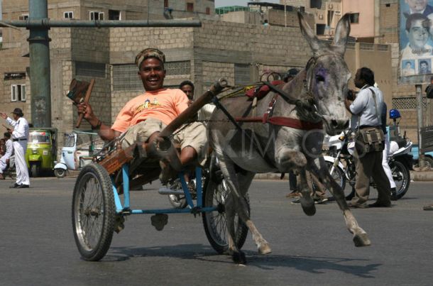 www.masticlub.com-shocking-news-karachi-donkey-race4.jpg