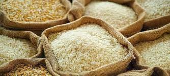 REAP-expect-record-rice-export-of-3-billion-in-Year-2023.jpg