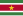 23px-Flag_of_Suriname.svg.png