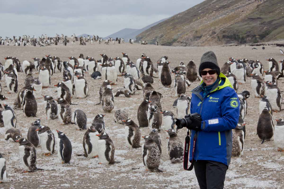 40_falklands-saunders-island-janet-penguins.jpg