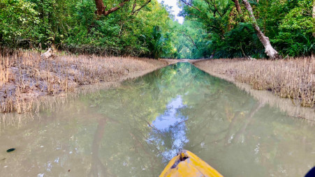Most of the islands have mangrove forests to be explored on foot or by boat. Photo: Saraf-uddin Talukder Shajib