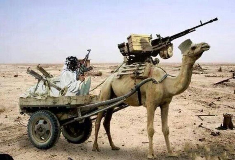 Funny-Military-Camel-Cart-Picture.jpg